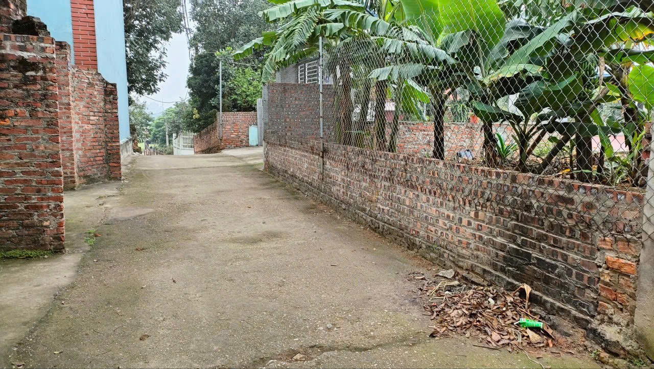 ĐẤT ĐẸP - GIÁ TỐT - Vị Trí Đắc Địa Tại Phú Cường, Minh Phú, Sóc Sơn, TPHN - Ảnh chính