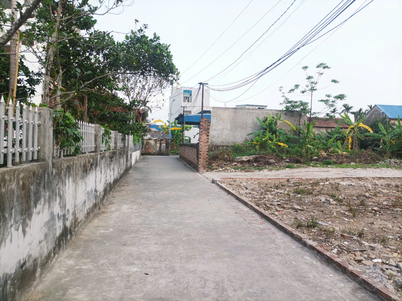 Đất Đông Lãm Đồng Hoà ngay trung tâm ngã tư phố Phạm Hải , giáp Đồng Hoà - Ảnh 3