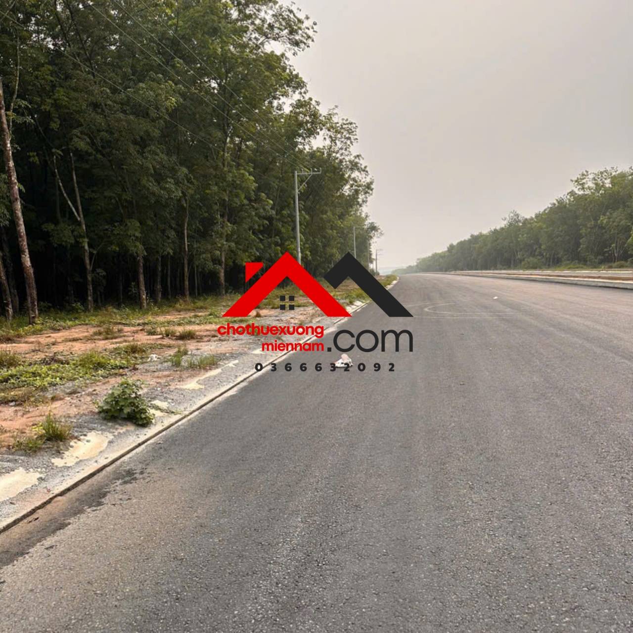 Cho thuê đất mặt tiền đường Tạo Lực Phú Giáo Bình Dương.DT từ 5000 - 50000m2. Giá 200 triệu. Liên - Ảnh chính