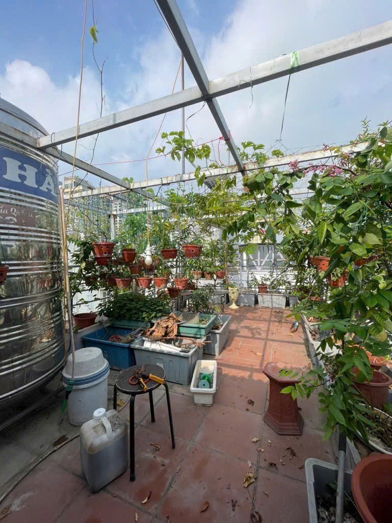 Bán nhà mặt ngõ Thụy Khuê, Tây Hồ, kinh doanh, nhà mới, 38m, 5 tầng, mặt tiền 4.8m, 8 tỷ - Ảnh 2