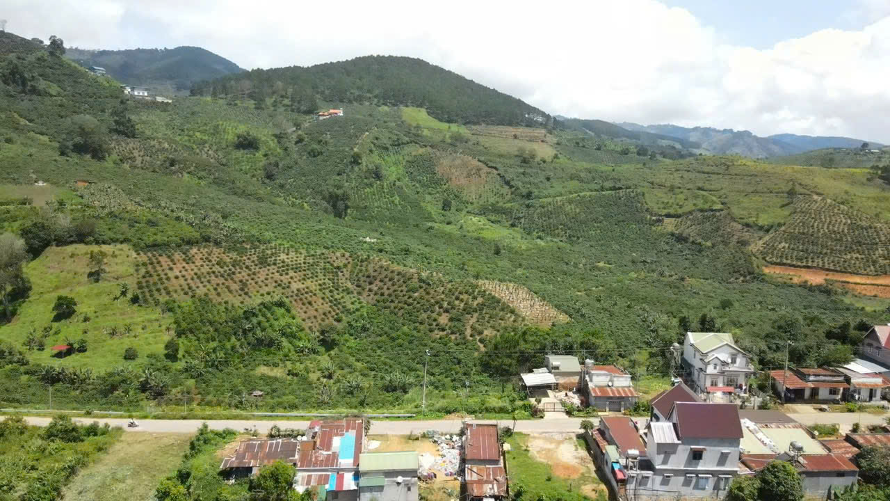 Bán đất đầu tư phân lô ngay mặt tiền đường QL27, Phú Sơn, Lâm Hà, Lâm Đồng. - Ảnh chính