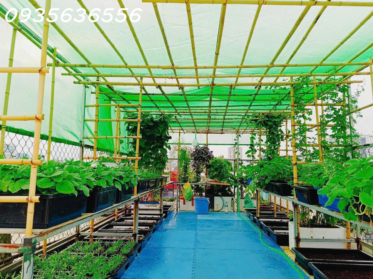 BÁN NHÀ NGUYỄN AN NINH 55m x 6 TẦNG – NHỈNH 12 TỶ<br>HOA HẬU PHÂN LÔ – 30M RA PHỐ – Ô CHỜ THANG MÁY - Ảnh 4
