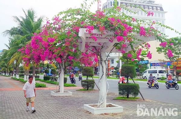 Lô đất 390m2,ngang 15m -View biển vịnh Đà Nẵng -Nguyễn Tất Thành -Giá chỉ 32,950 tỷ - Ảnh chính