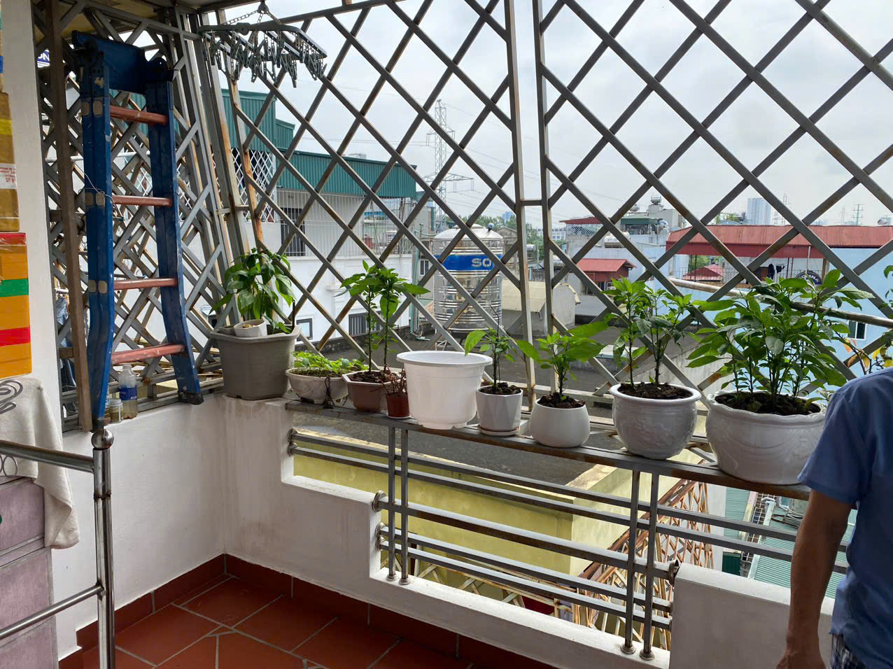Bán gấp nhà riêng ngõ Nguyễn Chính, quận Hoàng Mai 30m x 5T giá 6.8 tỷ, full đồ - Ảnh 4