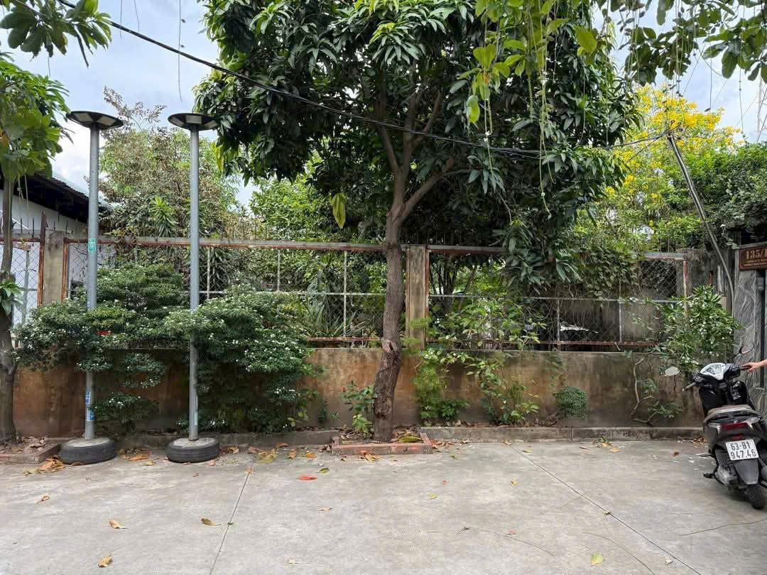 Đất Đẹp (17x13) Xây Biệt Thự Quá Đẹp HXH 1 trục đường 7m Thạnh Xuân 21, Q12 - Ảnh 1