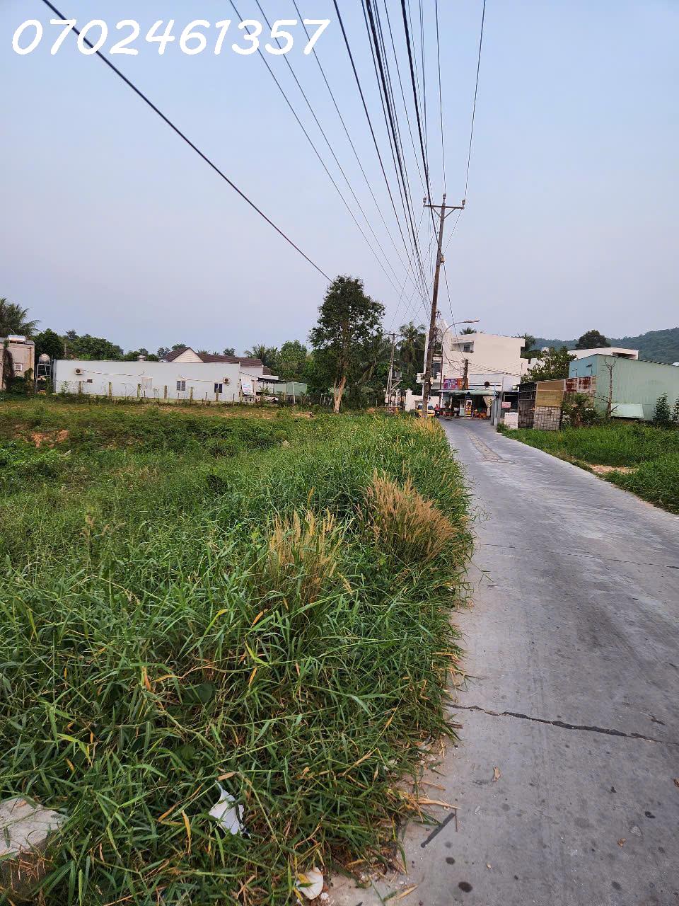 5400m² Đất Mặt Tiền Chùa Ông, Suối Đá – Phù Hợp Làm đầu tư - Ảnh 1