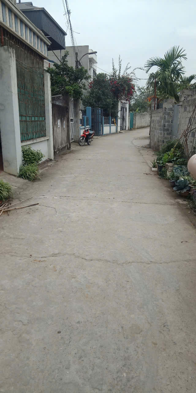 FO cần bán <br>87m đường trục chính , ô tô tải thông <br>mặt tiền 4m hậu 4m vuông vắn nói không với lỗi - Ảnh 3