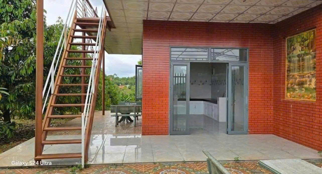 CẦN TIỀN NÊN BÁN GẤP VƯỜN SẦU RIÊNG 300 CÂY ĐÃ CÓ NHÀ TRÊN ĐẤT ĐIỆN NƯỚC ĐẦY ĐỦ DỌN VÀO Ở NGAY ĐƯỢC - Ảnh 3