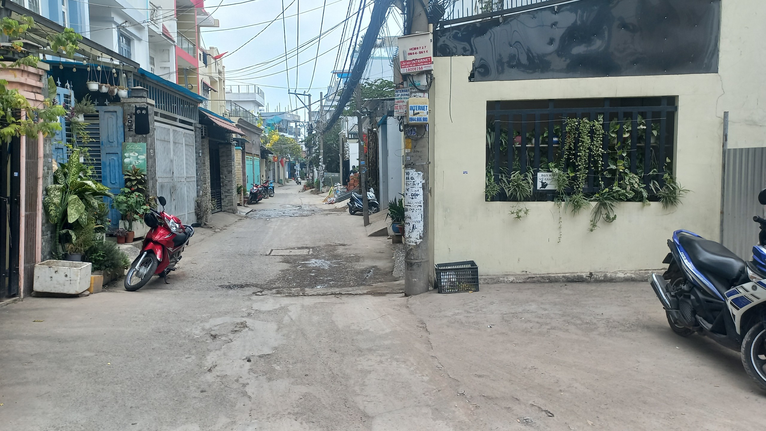 Bán Lô Đất Mặt Tiền Đường 48 (Nhánh 3) - Hiệp Bình Chánh - Thành Phố Thủ Đức - Ảnh 2