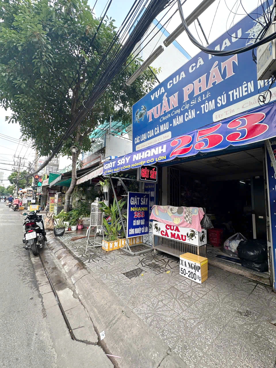 Nhà mặt tiền chính Âu Dương Lân cửa sau HXH P2Q8 - Ảnh chính