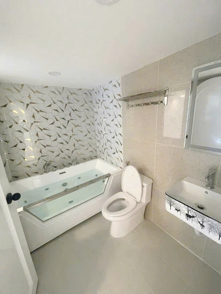 Nhà mới sang trọng làm Hotel Mặt tiền Âu Dương Lân P3Q8 - Ảnh 3