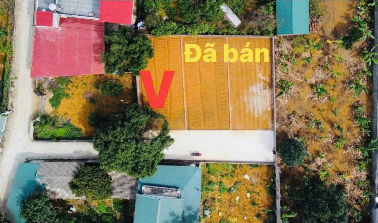 CHÍNH CHỦ BÁN LÔ ĐẤT TẠI THÔN YÊN THÁI, XÃ ĐÔNG YÊN, QUỐC OAI, HÀ NỘI. - Ảnh 2