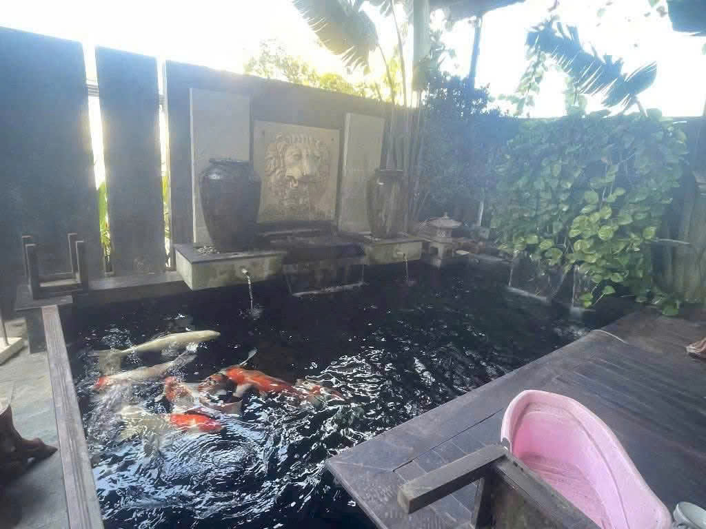 🆘 CHO THUÊ VILLA MẶT TIỀN ÂU LẠC - GẦN AEON MALL HUẾ - Ảnh 2