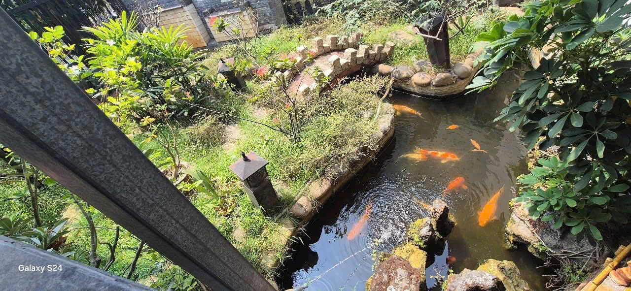 Cho thuê nhà vườn đẹp 200m2, đường oto, gần KDC Tân Phong chỉ 7,5tr - Ảnh 4