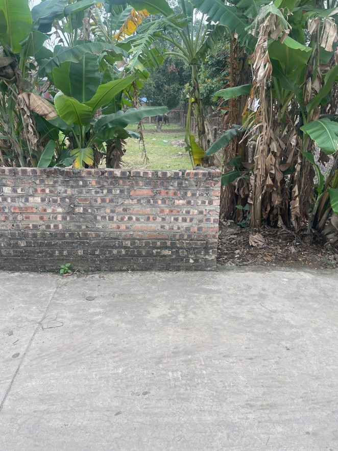 Bán lô đất đẹp - Vị trí đẹp tại Thanh Trí, Minh Phú, Sóc Sơn, Hà Nội - Ảnh 2