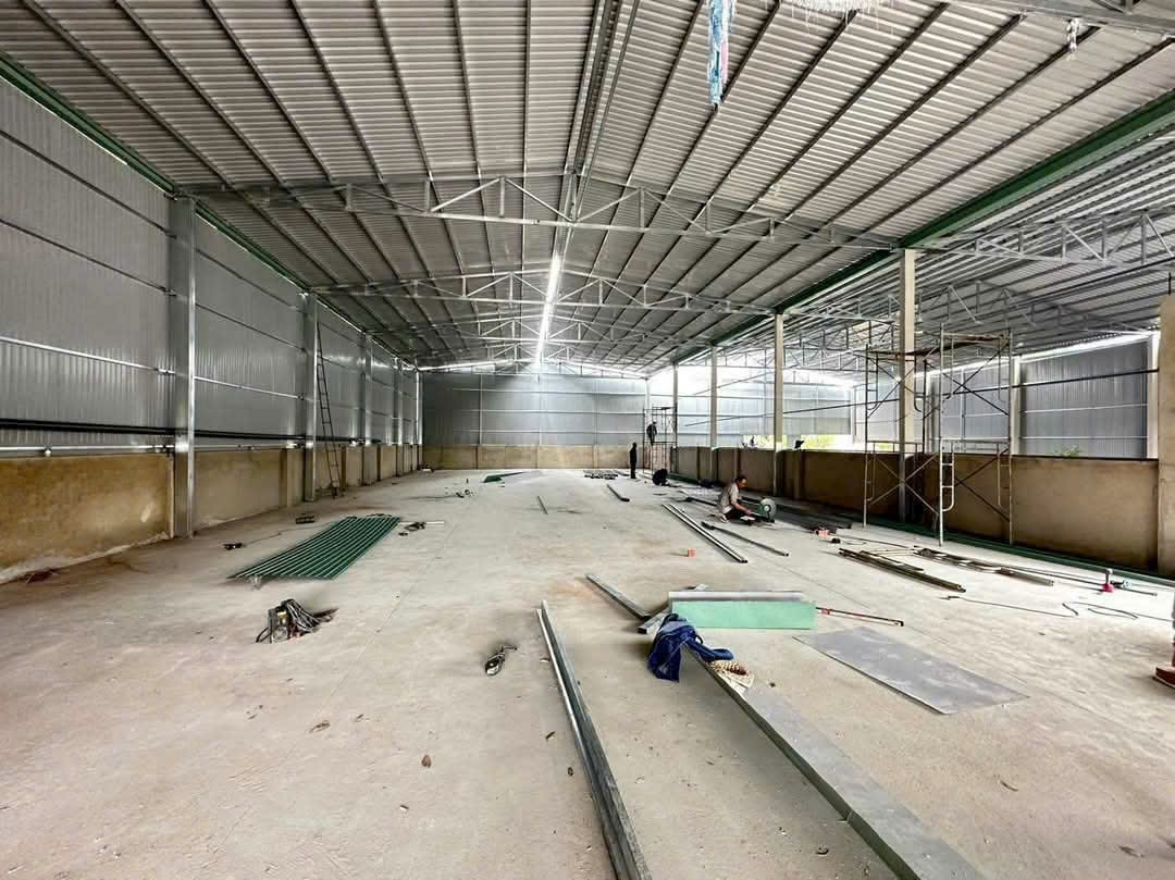 Cho Thuê Xưởng Mới 100% Tân Định Bến Cát Bình Dương – Diện Tích 1.400m², Đường Xe Container, Giá - Ảnh 3