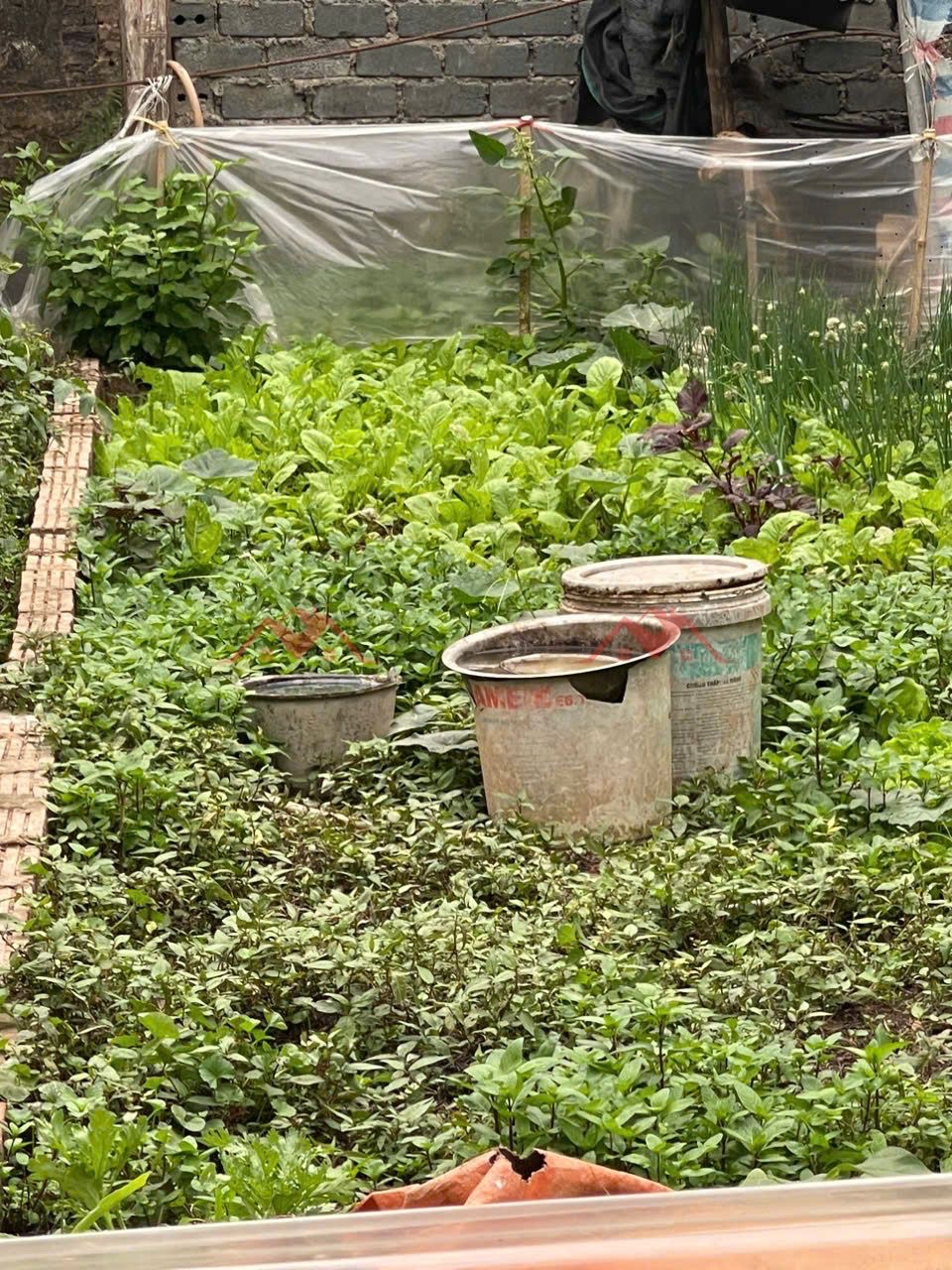 CHÍNH CHỦ BÁN LÔ ĐẤT 54M PHỤNG CHÂU-CHƯƠNG MỸ-HÀ NỘI - Ảnh 1