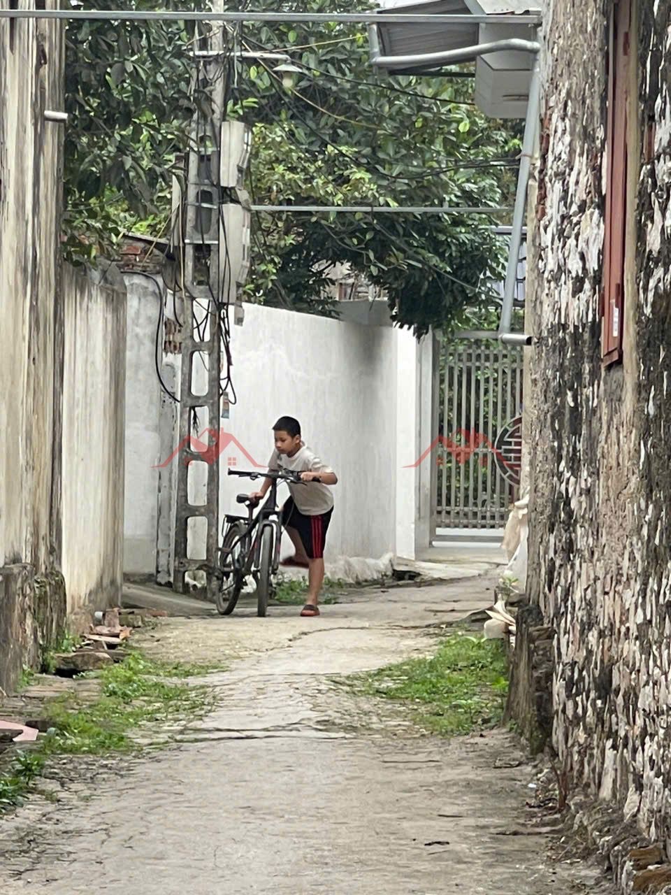 CHÍNH CHỦ BÁN LÔ ĐẤT 54M PHỤNG CHÂU-CHƯƠNG MỸ-HÀ NỘI - Ảnh 2