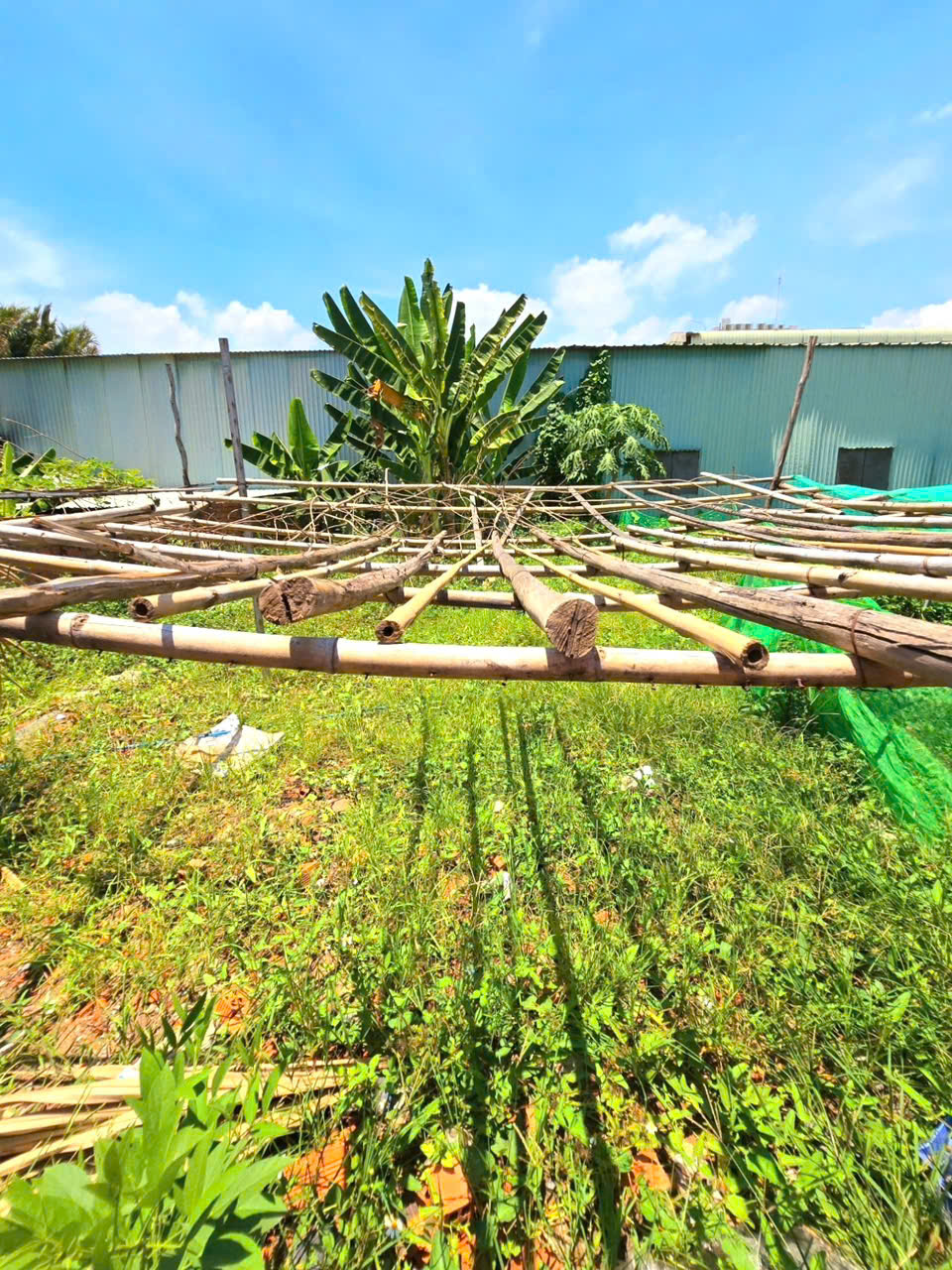 BÁN ĐẤT Phân lô, Trường Thạnh, Nguyễn Xiển Q9, DT ( 4 x 16 ) 63m2, chỉ 3.1ty - Ảnh chính