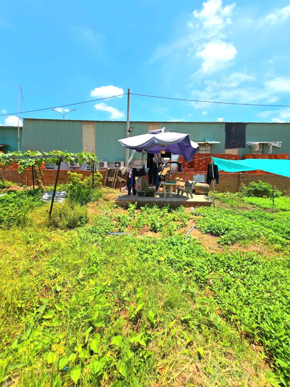BÁN ĐẤT Phân lô, Trường Thạnh, Nguyễn Xiển Q9, DT ( 4 x 16 ) 63m2, chỉ 3.1ty - Ảnh 3