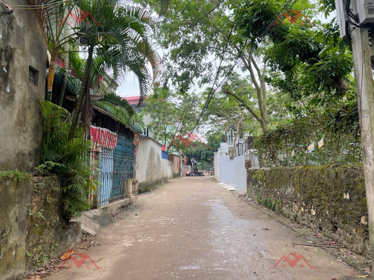CHÍNH CHỦ BÁN LÔ ĐẤT 97,3M TẠI PHỤNG CHÂU-CHƯƠNG MỸ-HÀ NỘI - Ảnh 2
