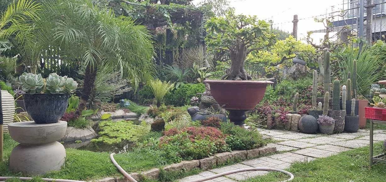 BÁN GẤP! LÔ GÓC NHÀ VƯỜN 250M² – 2 MẶT TIỀN – QUẬN 2 – GIÁ CHỈ 11,4 TỶ – SIÊU PHẨM HIẾM CÓ! - Ảnh chính