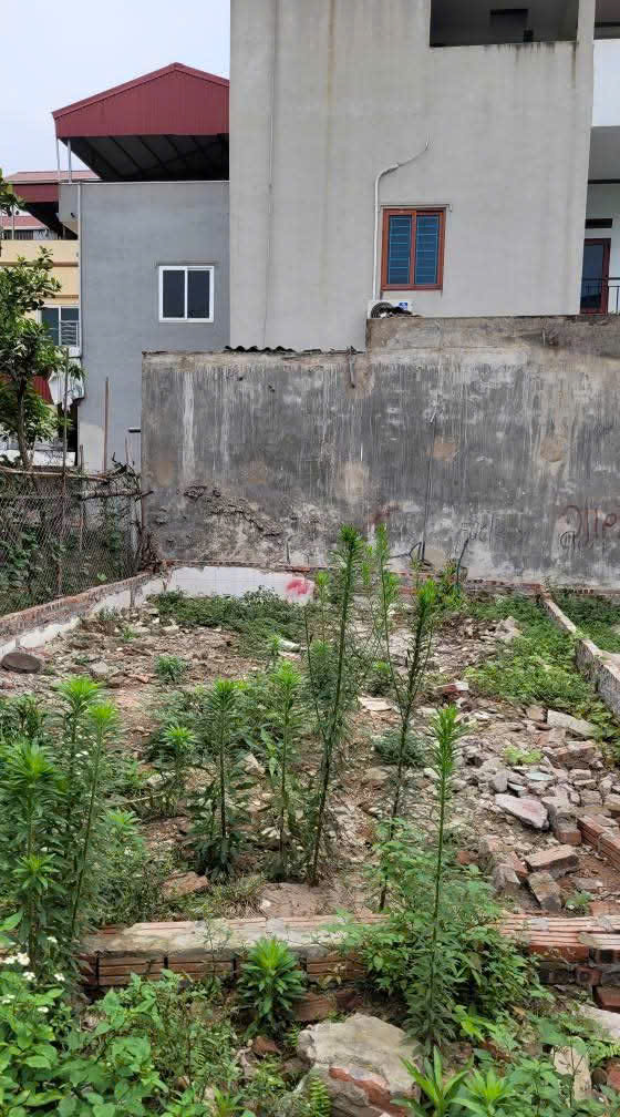 HIẾM - Mảnh đất rẻ ô tô trước ngõ Dt 40m ngay gần chợ Thôn 3 Vạn Phúc giá 3.1 tỷ - Ảnh 1