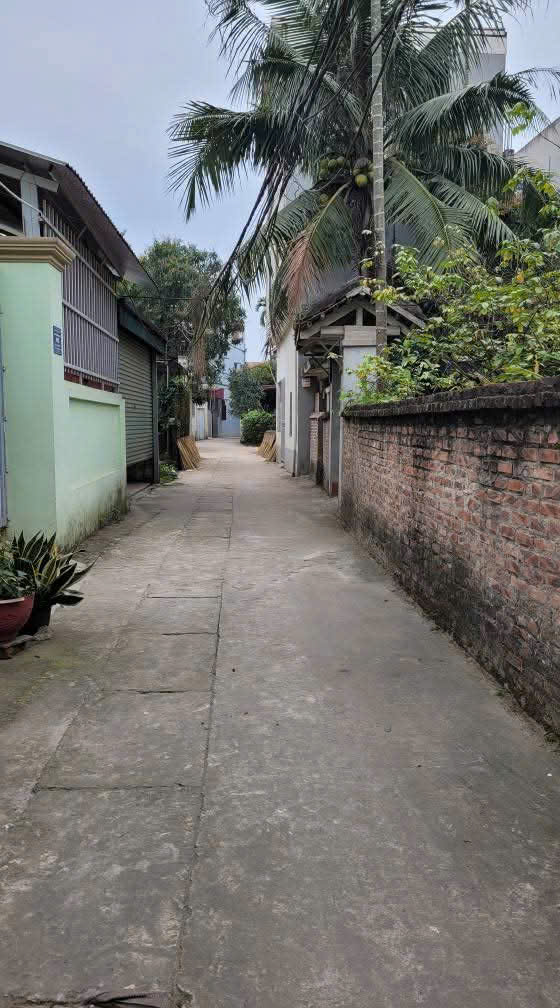 Bán mảnh đất sát ô tô, ngay chợ Thôn 3 Vạn Phúc, DT40M*MT4M giá 3.1 tỷ - Ảnh 2