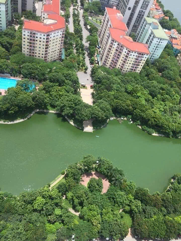 Bá.n gấp căn hộ chung cư view hồ mát lịm quận Hoàng Mai, tầng 9, 72m2, 2 ngủ, giá cực kỳ ưu đãi - - Ảnh 4