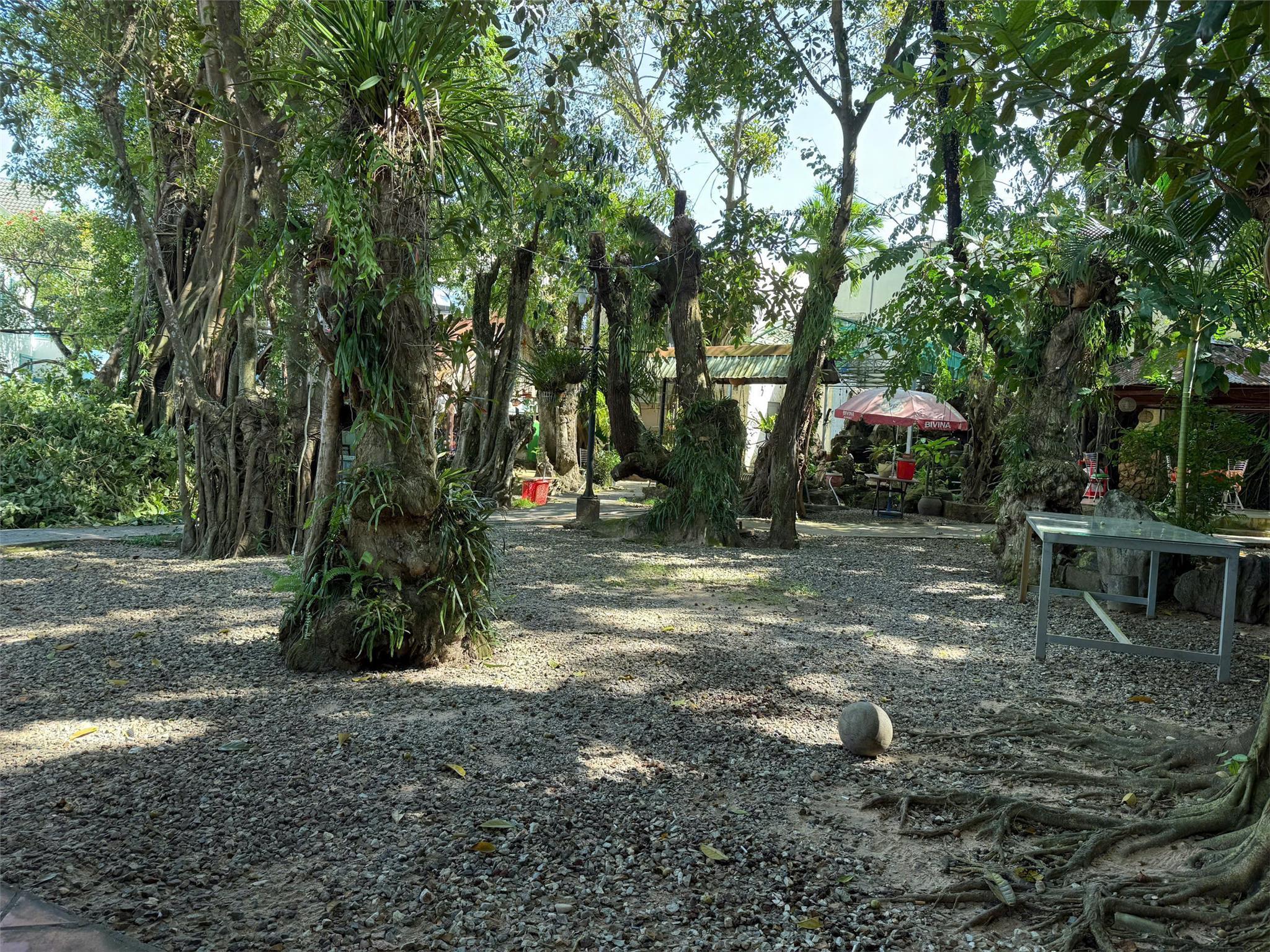 Bán 1100m² Mặt Tiền Chu Văn An – Đất Đẹp, Sổ Riêng, Giá Hợp Lý - Ảnh 1