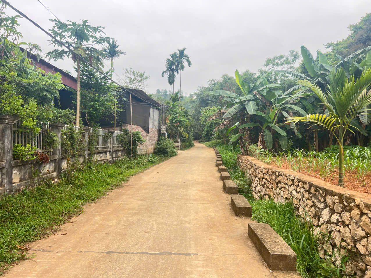 Bán 670M2 đất thành phố Hoà Bình tiện ích đầy đủ_81M đất ở nở hậu đẹp_8xx triệu - Ảnh chính