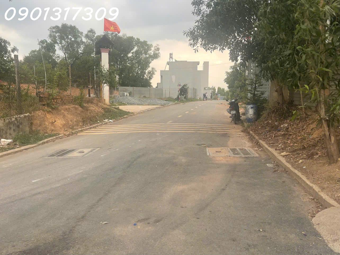 Chính chủ cần tiền bán gấp đất và nhà 2 căn cấp 4 Phường Tân Bình, Dĩ An, Bình Dương - Ảnh 3