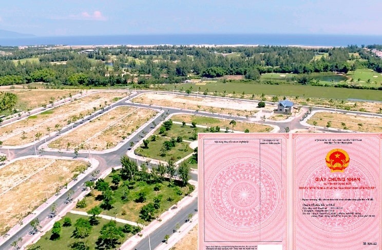 🏡Cần bán gấp – Đất sát trung tâm TP Quy Nhơn, mặt tiền QL19 chỉ cần 450 triệu nhận nền! - Ảnh chính