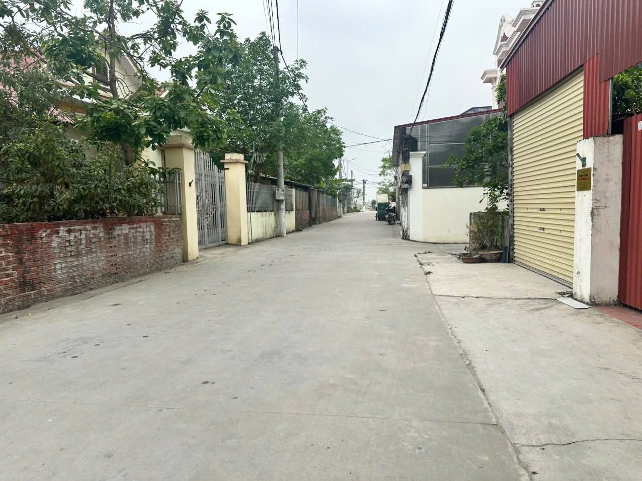 SIÊU PHẨM 4 lô mới tinh tại An Lại -Dân An - Tứ Kỳ chỉ từ 8xxtr/LÔ - Ảnh 2