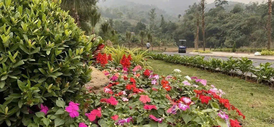 Phú Mãn, Quốc Oai, hà nội, đất nghỉ dưỡng view hồ, suối chảy quanh năm - Ảnh 2