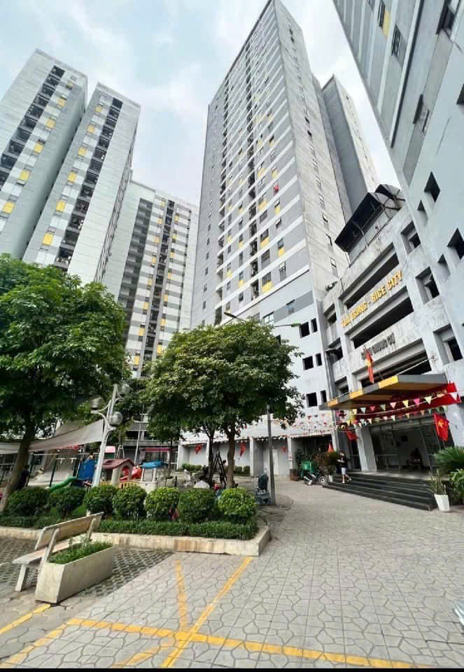 Bán căn 2 ngủ 63m2 tòa Bắc Rice City - Tây Nam Linh Đàm, Hoàng Mai, tầng thấp,  full nội thất, sổ - Ảnh chính