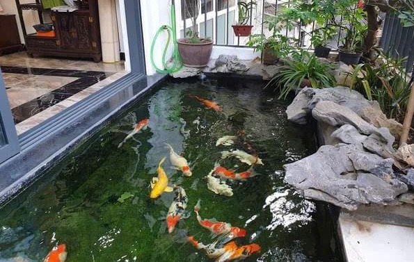 NHÀ LÔ GÓC, 2 MẶT TIỀN PHAN ĐÌNH GIÓT 90M2, 14 TỶ - Ảnh 2