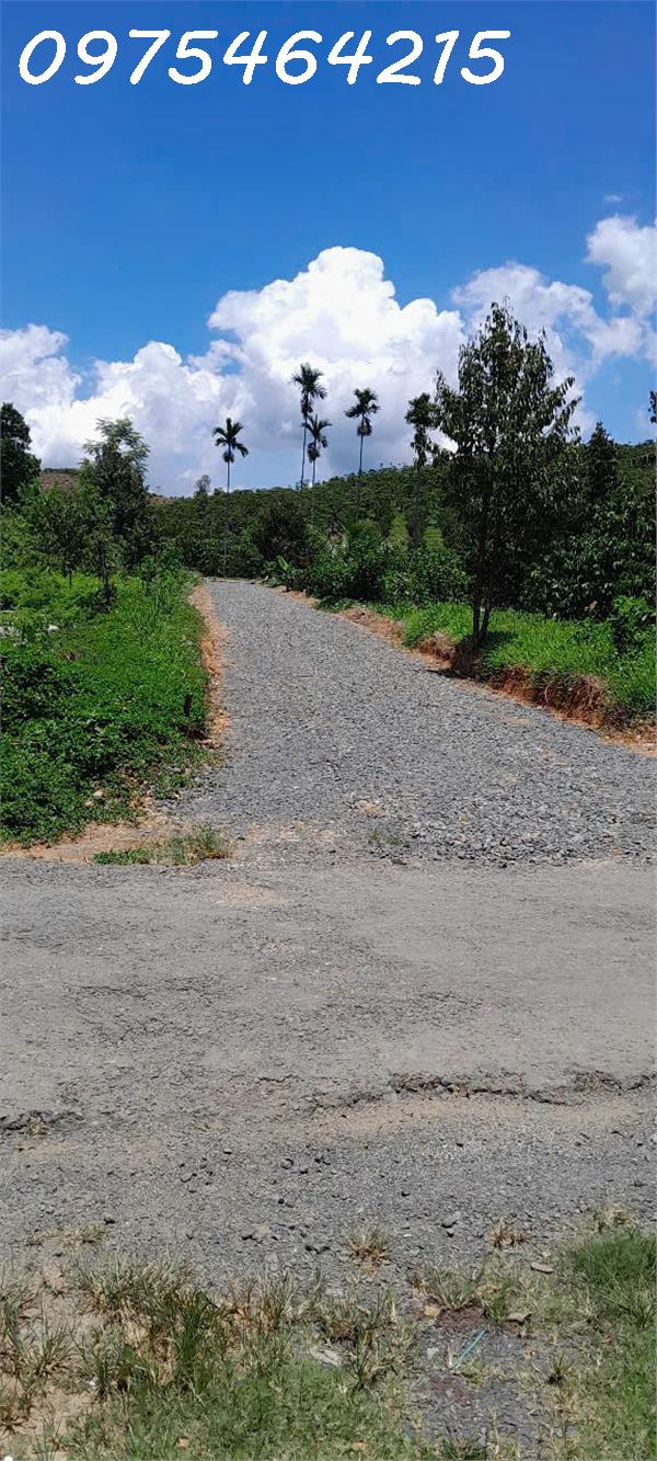 BÁN ĐẤT ĐẠI LÀO BẢO LỘC - 7000M2 ĐƯỜNG BLAOSIRE GIÁ SIÊU TỐT - SỔ RIÊNG - Ảnh 2