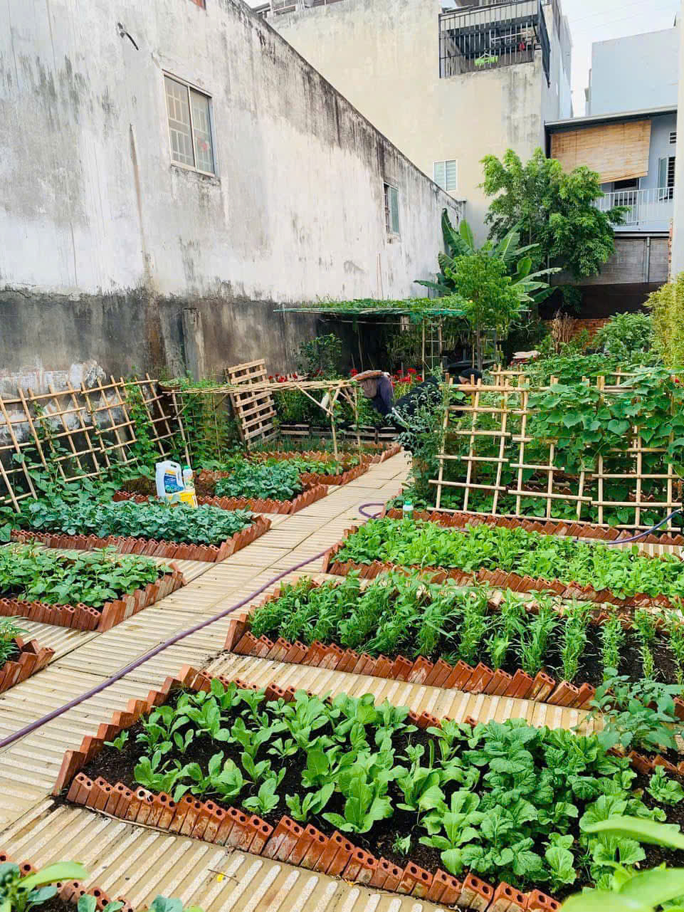 BÁN ĐẤT TẶNG VƯỜN RAU SẠCH NGAY VÀNH ĐAI 2 - LINH ĐÔNG - THÀNH PHỐ THỦ ĐỨC - Ảnh chính