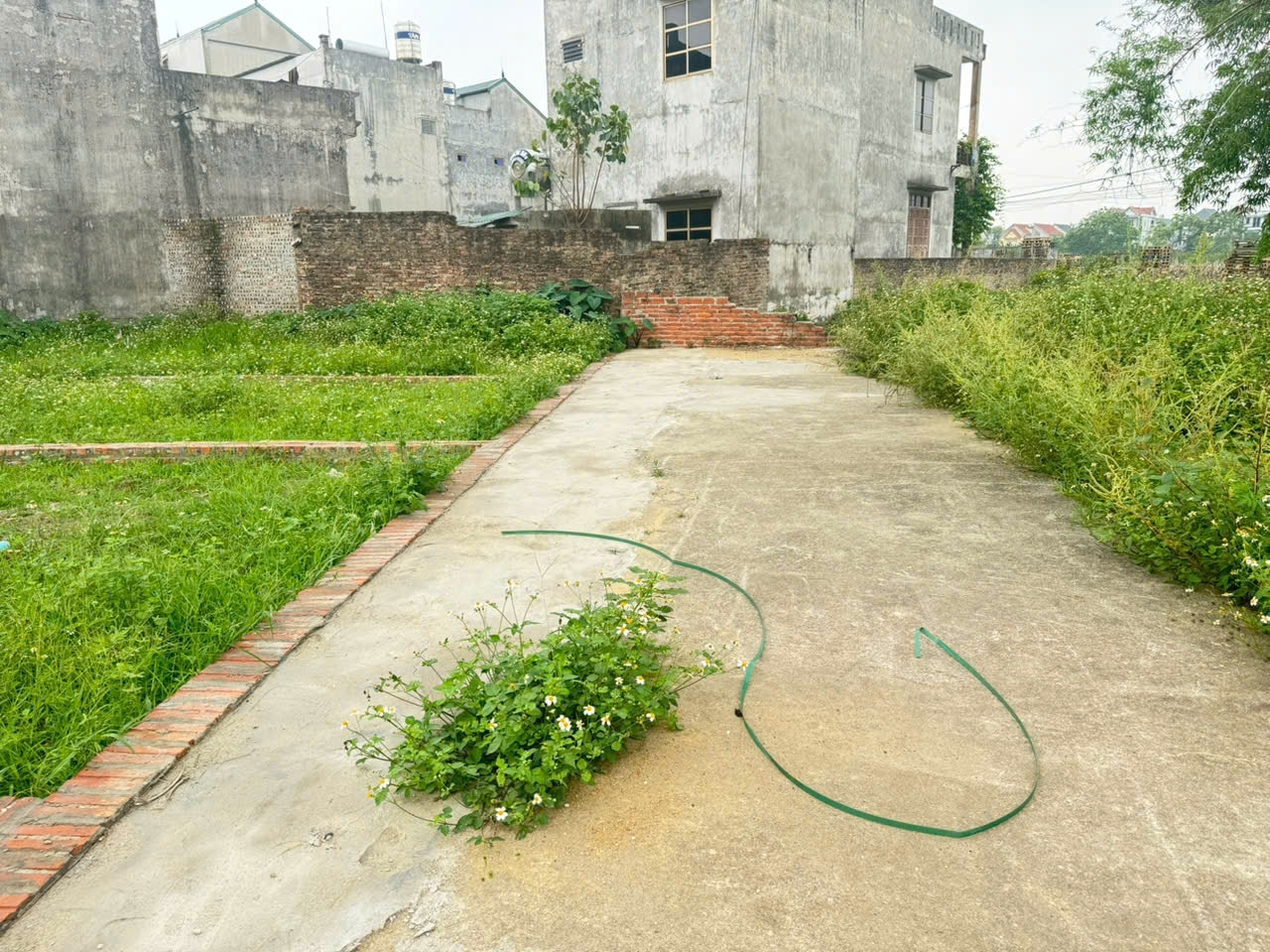 Đất đẹp Tổ 9, TT Quang Minh, Mê Linh. Gần KCN và trường CD Y Dược Tuệ Tĩnh - Ảnh 1
