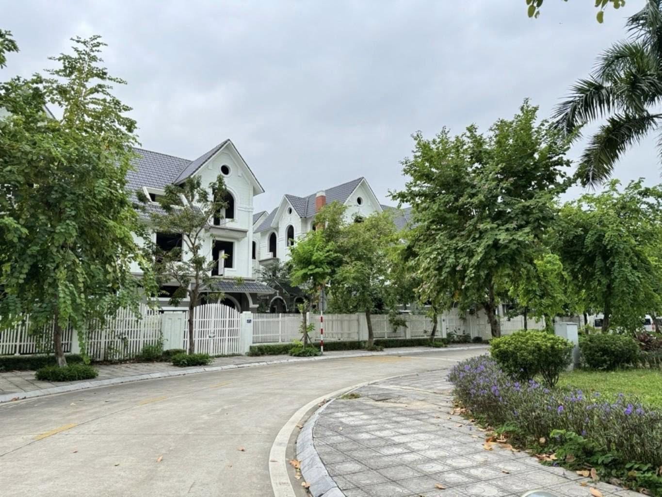 Siêu h.i.ế.m bán BT Geleximco khu B lô góc 232m, MT20m, giá chỉ 37.5 tỷ (có tl) - giá r.ẻ nhất khu - Ảnh 3