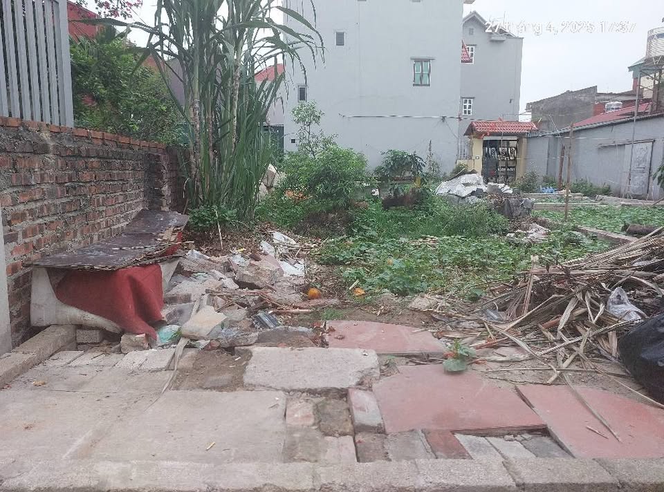 Đất Nguyên Khê, 48m2, mt5m, 4.99 tỷ. ô tô vào nhà, Đông Anh. - Ảnh 2