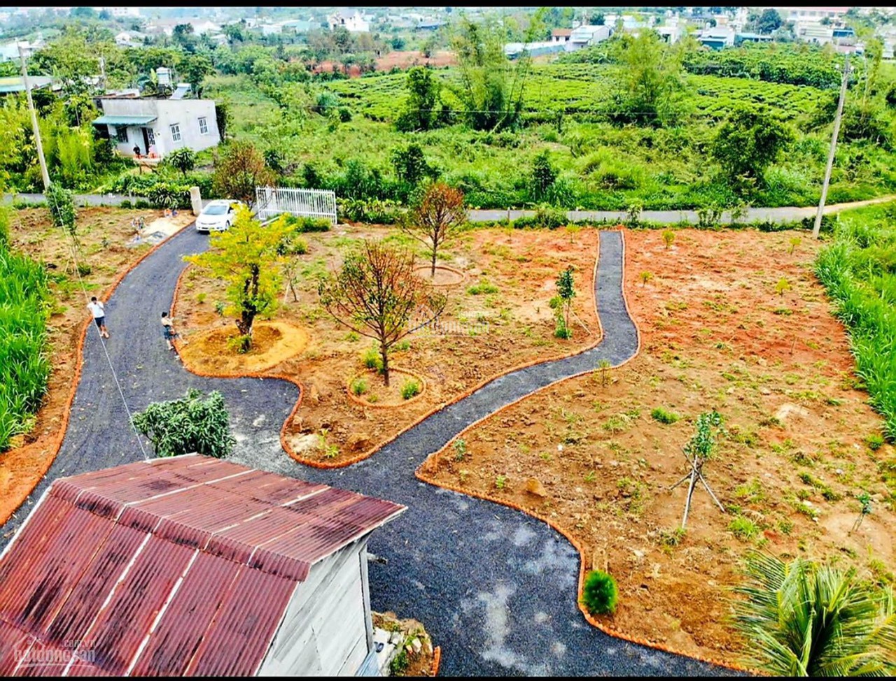 Bán Lô Đất Nghỉ Dưỡng Mặt tiền đường Ngô Tất Tố, xã Lộc Châu, Thành Phố Bảo Lộc. - Ảnh 1