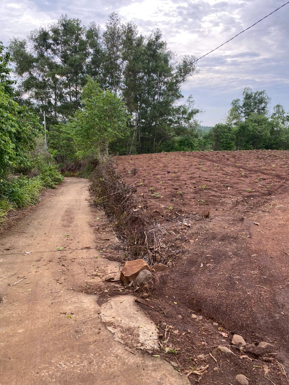 CHÍNH CHỦ CẦN BÁN  2 LÔ ĐẤT CÓ VỊ TRÍ ĐẸP GẦN SÂN BAY LONG THÀNH TẠI XÃ CẨM ĐƯỜNG - H. LONG THÀNH - - Ảnh 1