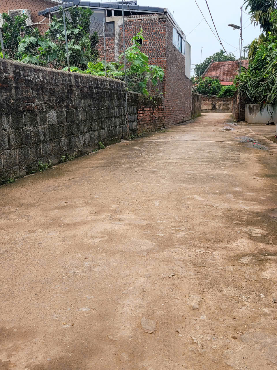 CỰC HIẾM Lô Liền Kề KHOÁI CHÂU, HƯNG YÊN Chỉ 1,3 tỷ, Gần Vành Đai 4 - Ảnh 3
