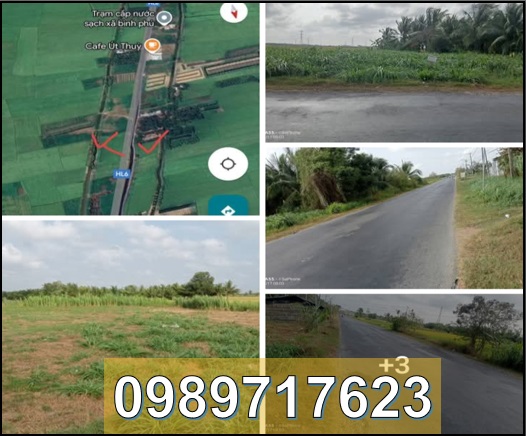 ⭐️Chính chủ bán đất tại Ấp Nguyệt Lãng B, Bình Phú, Càng Long, Trà Vinh, 110tr/m ngang, 0989717623 - Ảnh chính