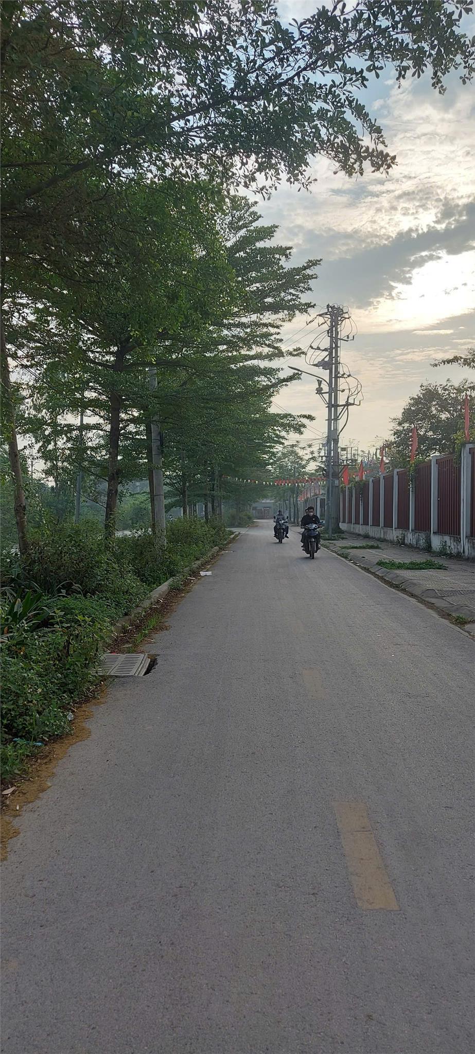 LÔ ĐẤT VỊ TRÍ ĐẮC ĐỊA SÀI SƠN- QUỐC OAI, VIEW THOÁNG, ĐƯỜNG RỘNG CHÍNH CHỦ CẦN THANH KHOẢN NHANH  , - Ảnh 3