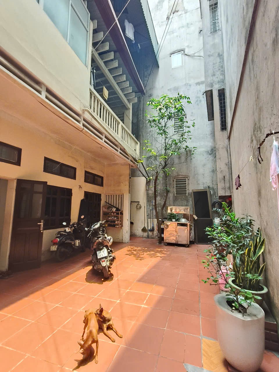 BÁN GẤP ĐẤT PHỐ NGUYỄN NGỌC LẠI , KHU QUÂN ĐỘI , DÂN TRÍ CAO, Ô TÔ ĐÕ CỬA , 68M2 GIÁ CHỈ GẦN 13 TỶ - Ảnh chính