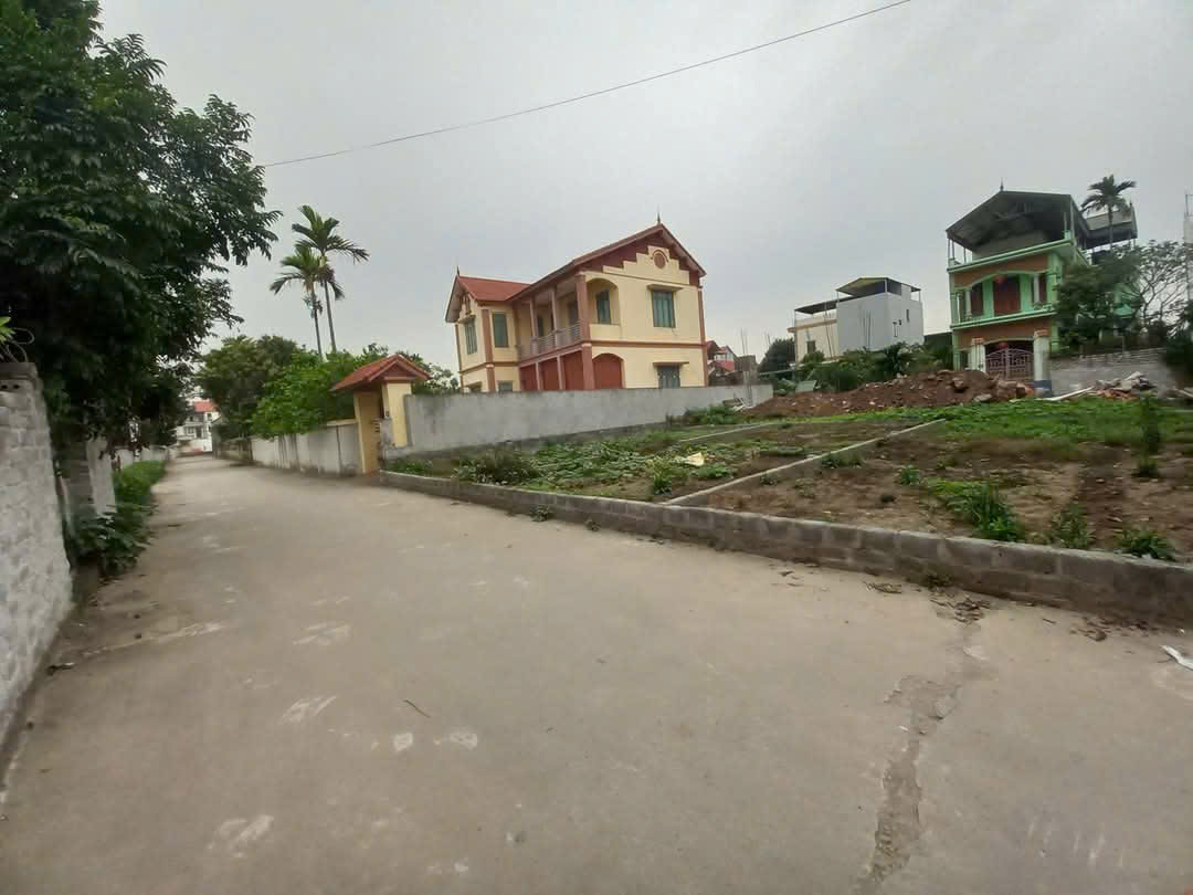 Bán đất Văn Bình, Thường Tín 85 8.5 7.32 tỷ - Ảnh chính