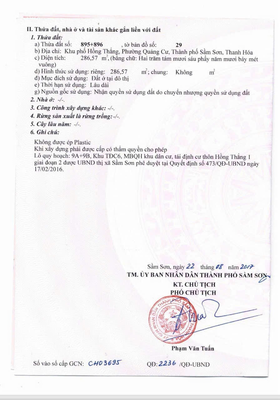 ĐẤT ĐẸP - CHÍNH CHỦ Cần Bán Lô Đất Tại Khu Phố Hồng Thắng, Phường Quảng Cư, TP. Sầm Sơn, Thanh Hóa. - Ảnh 1